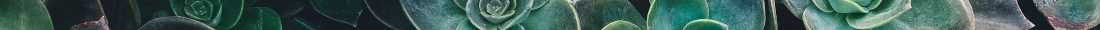 annie-spratt-42051-unsplash annie-spratt-42051-unsplash
